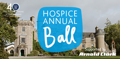 Hospice Ball Image