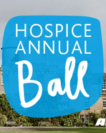 Hospice Ball Image