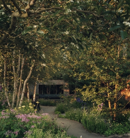 Muscular Dystrophy UK Forest Bathing Garden Image By India Hobson (2)