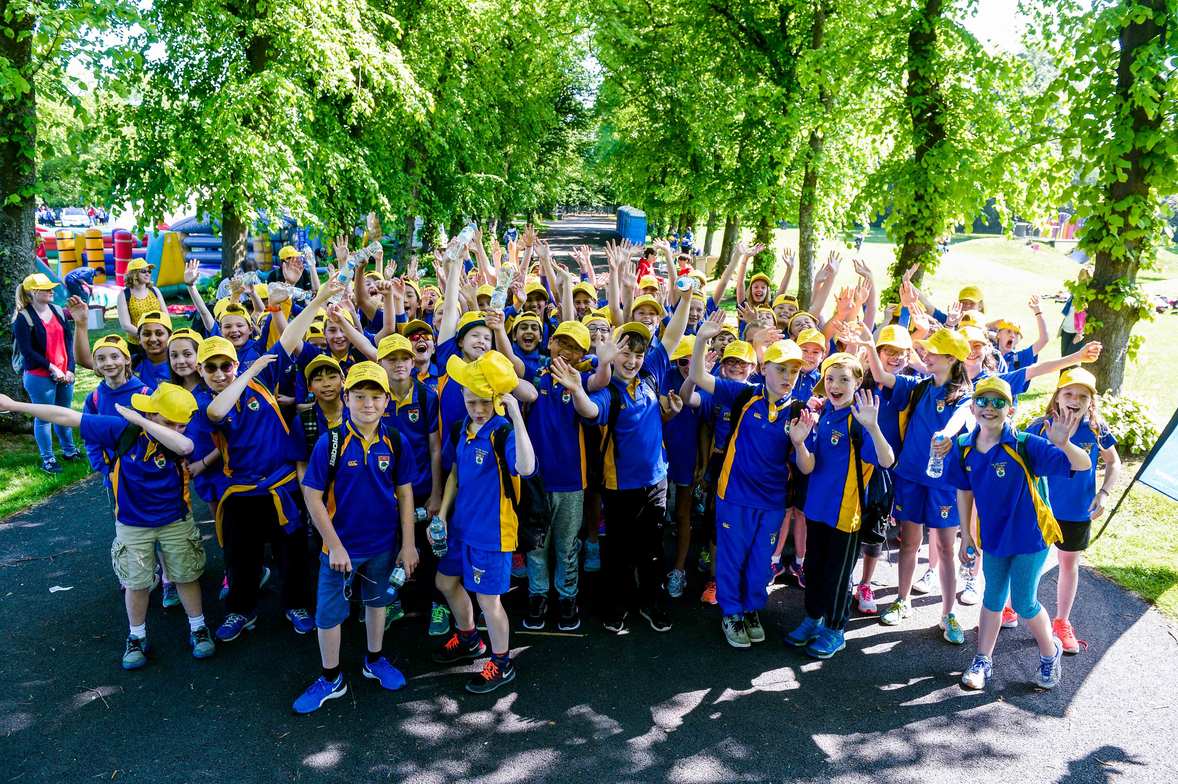 Schools, Colleges & Universities