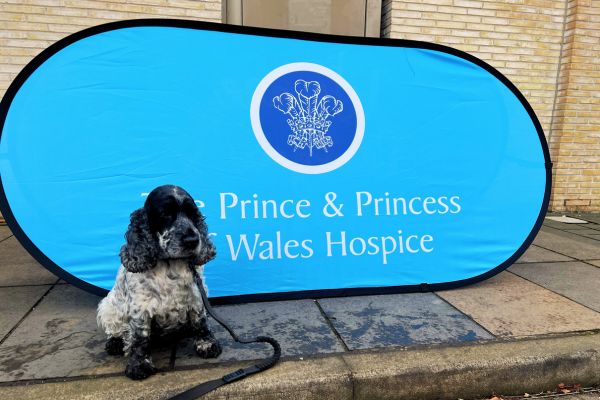 Hospice Dog Dash