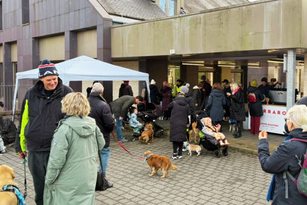 Hospice Dog Dash