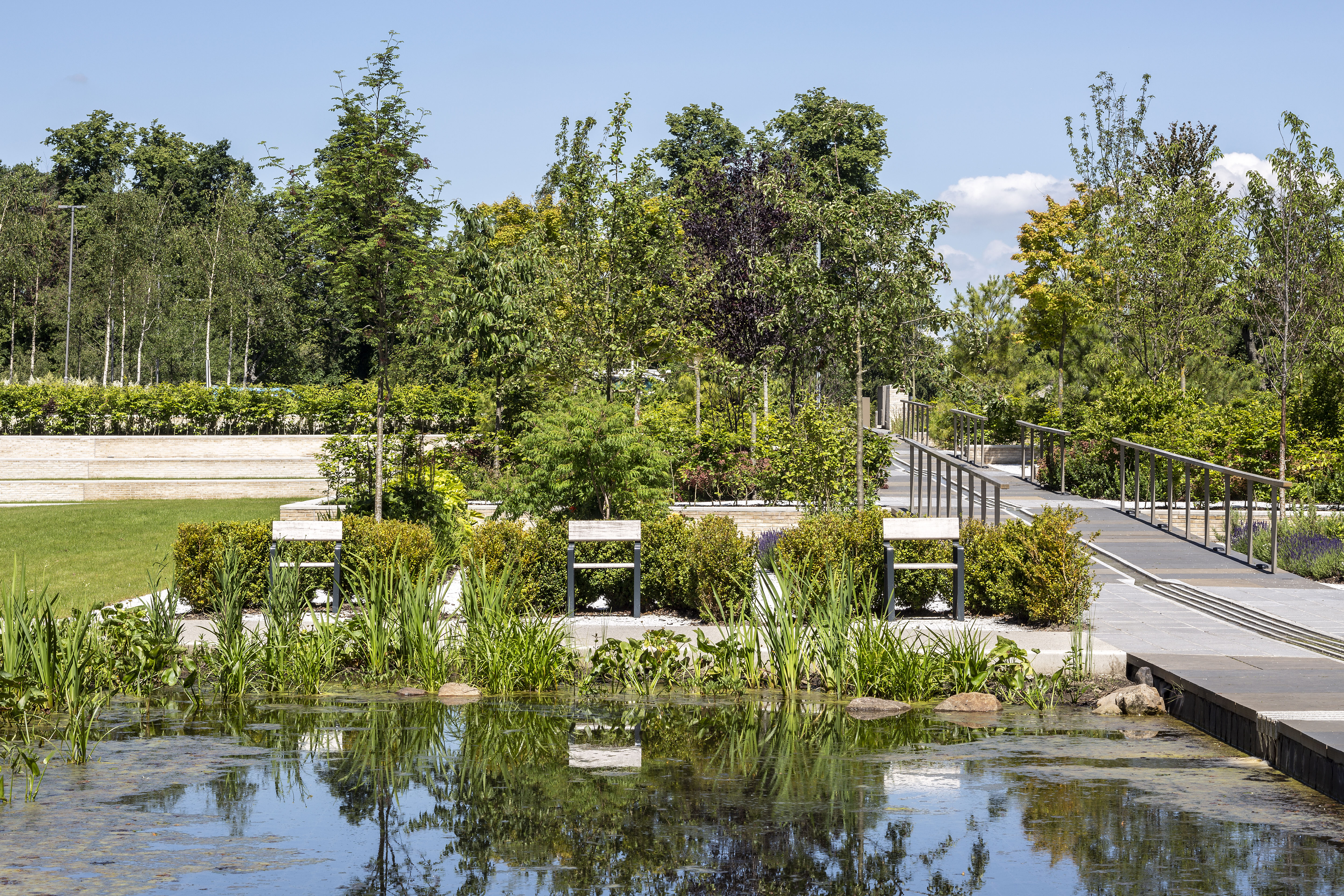 Our Gardens
