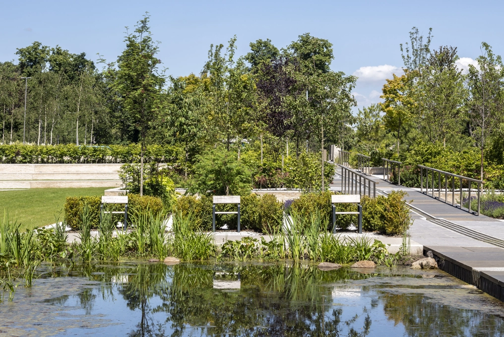 Our Gardens