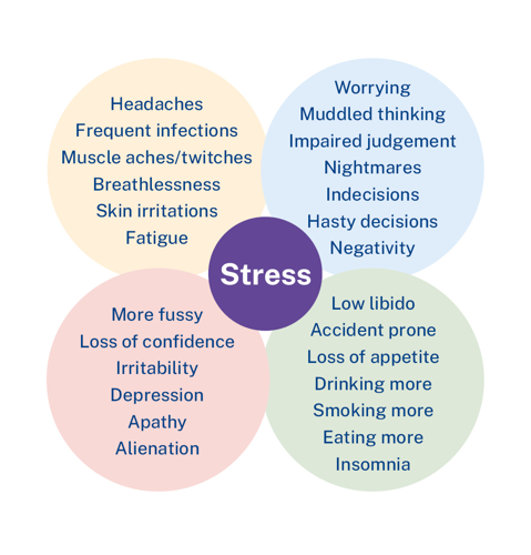 Symptoms of stress infographic