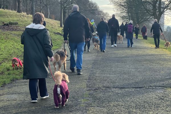 Hospice Dog Dash