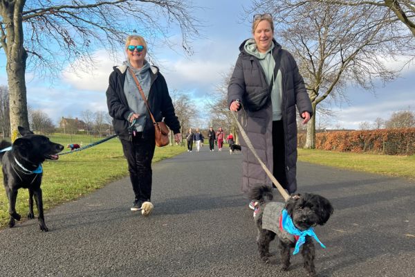 Hospice Dog Dash