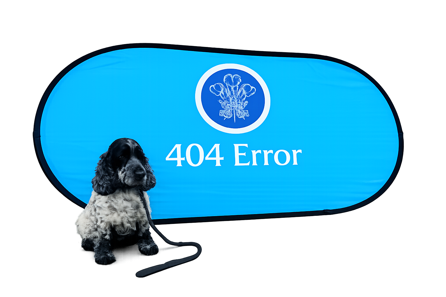 404 Error