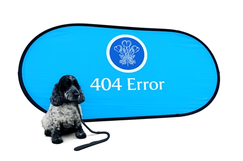 404 Error