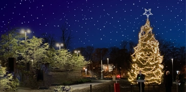 Christmas Tree lights switch on